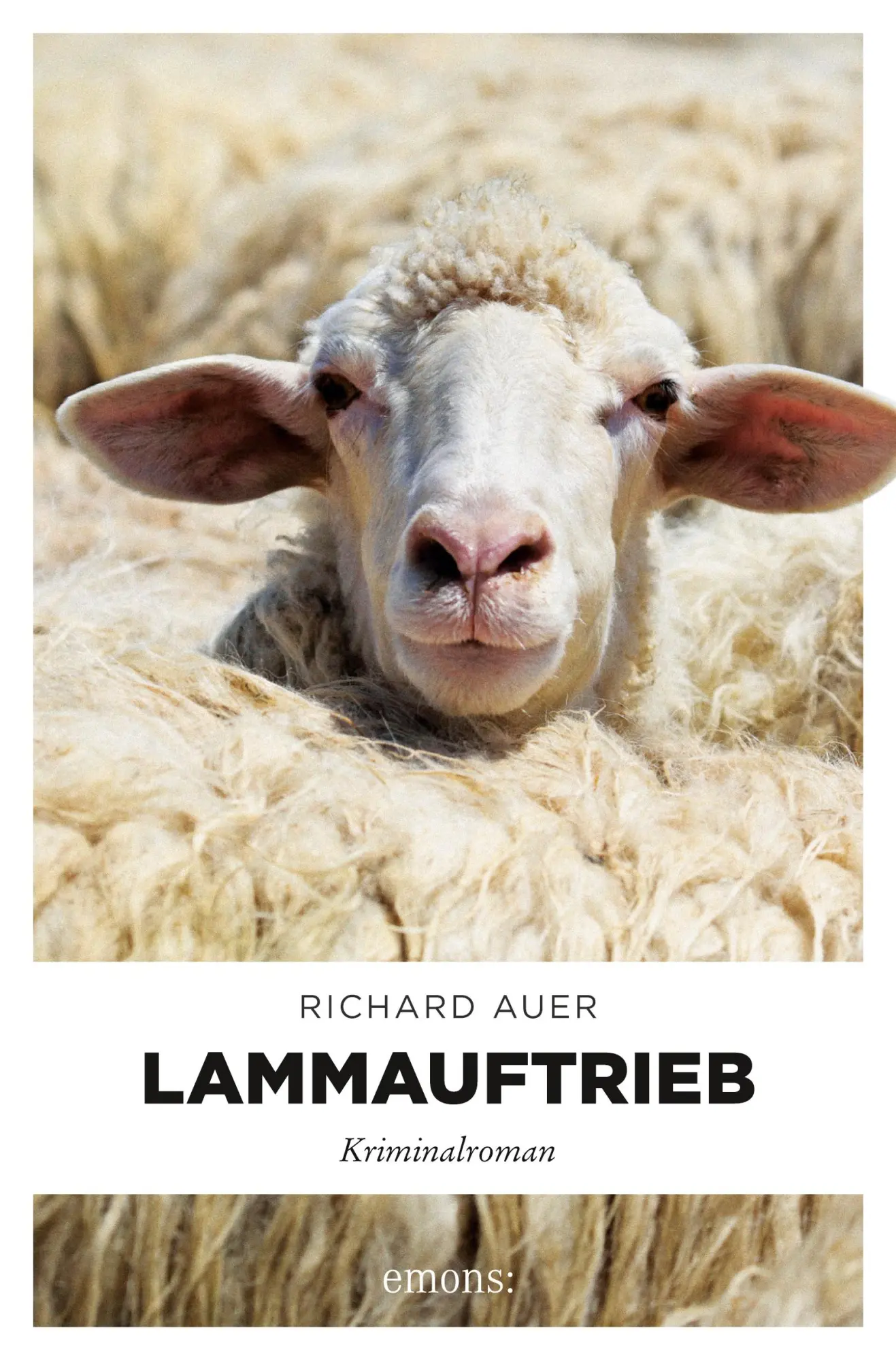 Cover: 9783954517091 | Lammauftrieb | Kriminalroman | Richard Auer | Taschenbuch | 240 S.